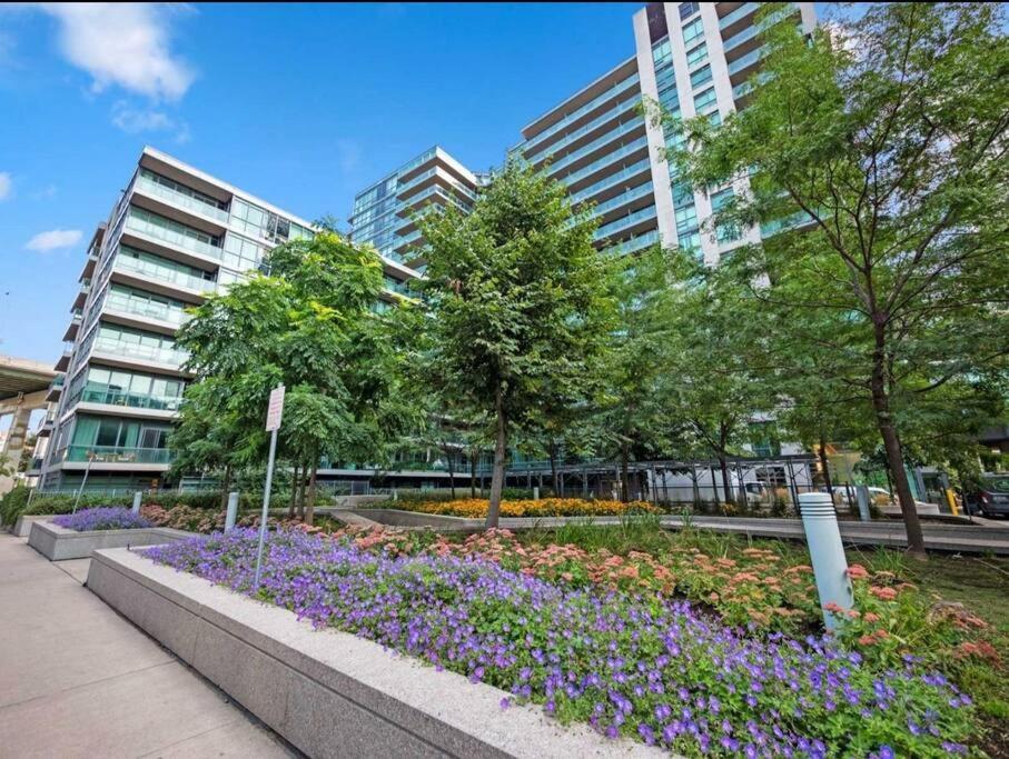 Cn Tower View With Free Parking, Pool, & More Amenities Toronto Dış mekan fotoğraf